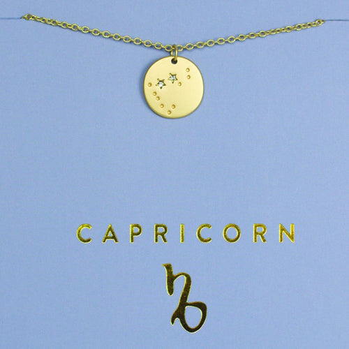 Capricorn - Zodiac Necklace Zodiac necklace Lucky Feather 