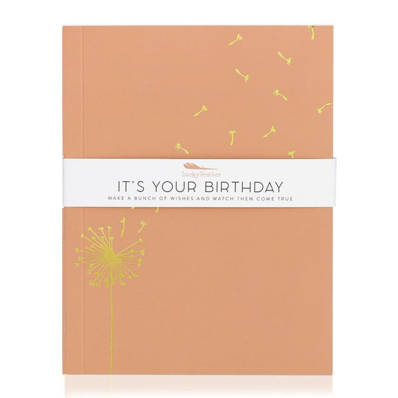 It's Your Birthday Journal Seventeen birch 